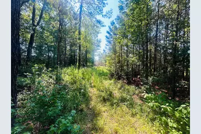 18.58 Acres - Turkey Ln, Kingstree, SC 29556 - Photo 3