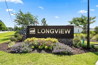 169 Cypress Tree Loop, Longs, SC 29568 - Photo 41