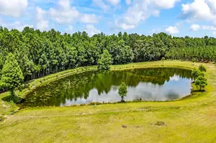 59 Two Ponds Rd, Georgetown, SC 29440 - Photo 61