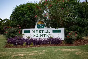 3805 Myrtle Pointe Dr, Myrtle Beach, SC 29577 - Photo 55