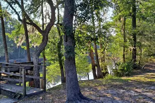 501 Trussel Rd, Andrews, SC 29510 - Photo 13