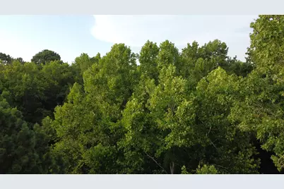 0 S Country Club Rd., Lake City, SC 29560 - Photo 5
