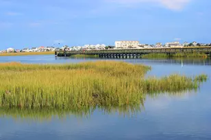 4665 Fringetree Dr, Murrells Inlet, SC 29576 - Photo 41