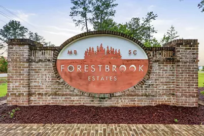 479 Harbison Circle, Myrtle Beach, SC 29579 - Photo 59
