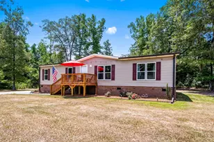 2463 Hanna Lake Rd, Johnsonville, SC 29555 - Photo 41