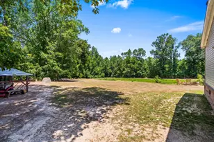2463 Hanna Lake Rd, Johnsonville, SC 29555 - Photo 51
