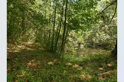 Tbd Highway 66, Conway, SC 29526 - Photo 7
