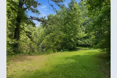 Tbd Highway 66, Conway, SC 29526 - Photo 5