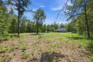 6000 Hwy 66, Loris, SC 29569 - Photo 23