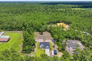 6000 Hwy 66, Loris, SC 29569 - Photo 31