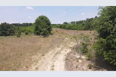 25.10 Acres - Society Hill Rd, Darlington, SC 29532 - Photo 17