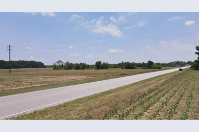 25.10 Acres - Society Hill Rd, Darlington, SC 29532 - Photo 21