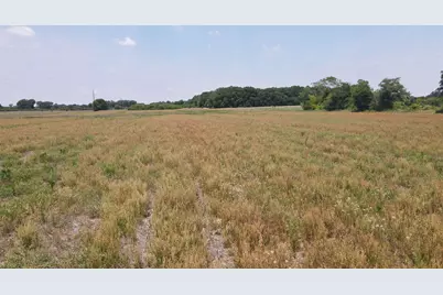 25.10 Acres - Society Hill Rd, Darlington, SC 29532 - Photo 11