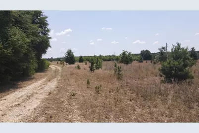 25.10 Acres - Society Hill Rd, Darlington, SC 29532 - Photo 15
