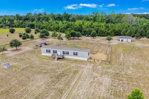 3010 Bert Hanna Rd, Hemingway, SC 29554 - Photo 3