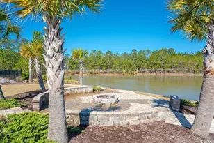1225 Wind Swept Ct, Little River, SC 29566 - Photo 39
