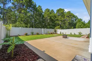 3664 White Wing Cir, Myrtle Beach, SC 29579 - Photo 35