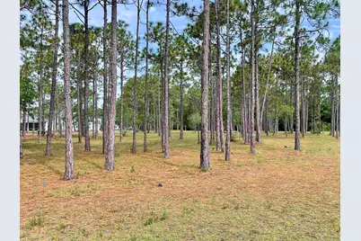 6806 Beckman Circle, Ocean Isle Beach, NC 28469 - Photo 7
