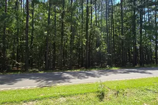 Tbd4 Hwy 111, Little River, SC 29566 - Photo 1