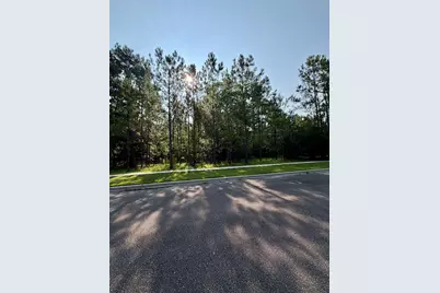 121 Pineberry Dr., Georgetown, SC 29440 - Photo 5