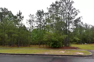121 Pineberry Dr, Georgetown, SC 29440 - Photo 1