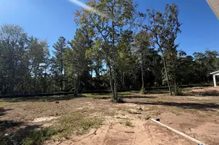 153 Furnies Pl, Loris, SC 29569 - Photo 15