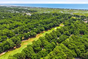 184 Stillwood Dr, Pawleys Island, SC 29585 - Photo 33