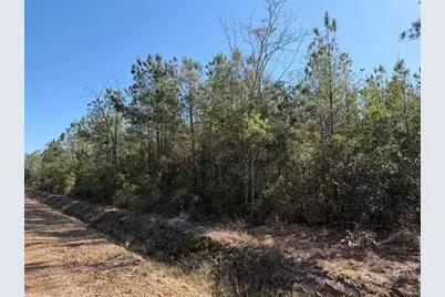 Tbd Assembly Ln., Myrtle Beach, SC 29588 - Photo 5
