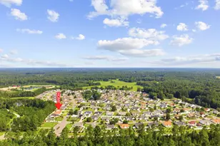 113 Heath Dr, Longs, SC 29568 - Photo 41
