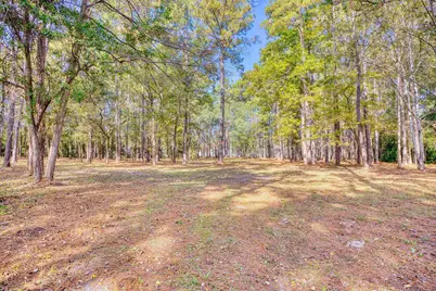 4250 Lilac Rd., Myrtle Beach, SC 29588 - Photo 31