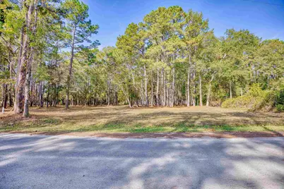 4250 Lilac Rd., Myrtle Beach, SC 29588 - Photo 3