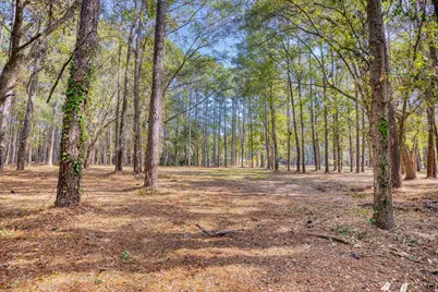 4250 Lilac Rd., Myrtle Beach, SC 29588 - Photo 19