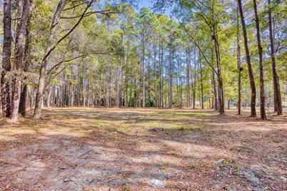4250 Lilac Rd., Myrtle Beach, SC 29588 - Photo 21