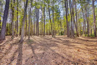 4250 Lilac Rd., Myrtle Beach, SC 29588 - Photo 23