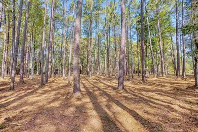 4250 Lilac Rd., Myrtle Beach, SC 29588 - Photo 13