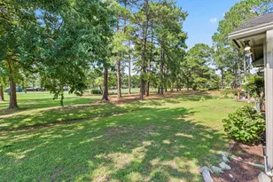 220 Cedar Ridge Ln, Conway, SC 29526 - Photo 31