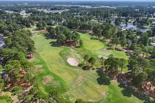 220 Cedar Ridge Ln, Conway, SC 29526 - Photo 37