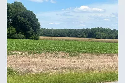 4177 Highway 38, Blenheim, SC 29516 - Photo 3