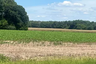 4177 Hwy 38, Blenheim, SC 29516 - Photo 3