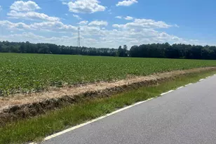 4177 Hwy 38, Blenheim, SC 29516 - Photo 19