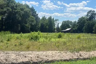 4177 Hwy 38, Blenheim, SC 29516 - Photo 13