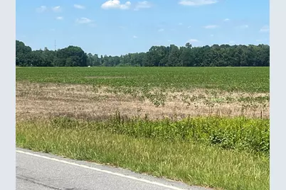 4177 Highway 38, Blenheim, SC 29516 - Photo 5