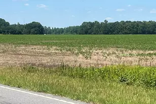 4177 Hwy 38, Blenheim, SC 29516 - Photo 5