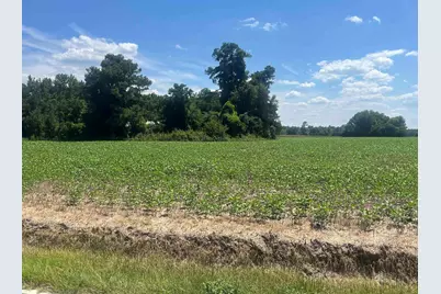 4177 Highway 38, Blenheim, SC 29516 - Photo 17