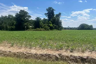4177 Hwy 38, Blenheim, SC 29516 - Photo 17