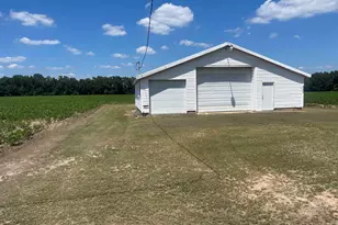 4177 Hwy 38, Blenheim, SC 29516 - Photo 11