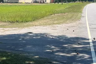 4177 Hwy 38, Blenheim, SC 29516 - Photo 7