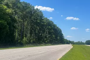 4177 Hwy 38, Blenheim, SC 29516 - Photo 21