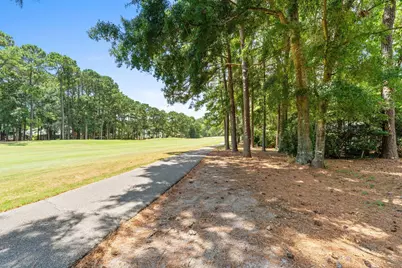 168 Mackinley Circle, Pawleys Island, SC 29585 - Photo 59