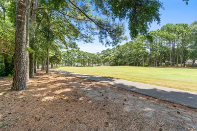 168 Mackinley Circle, Pawleys Island, SC 29585 - Photo 51